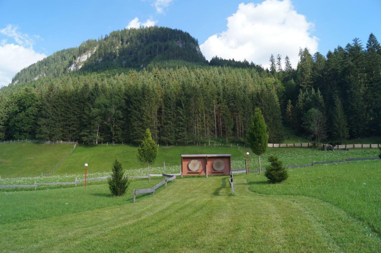 Hallstatt Dachstein Inn غوساو المظهر الخارجي الصورة